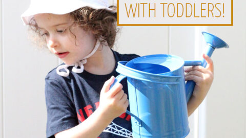 Planting a salad with toddlers