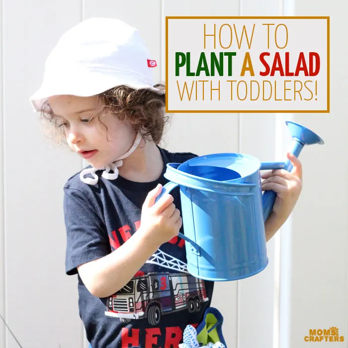 Plant a salad with your toddler - a fun outdoor gardening activity to get those little hands dirty! Plus, it encourages healthy eating, is educational, and is a perfect addition to your repertoire of toddler activities for the Spring or summer!