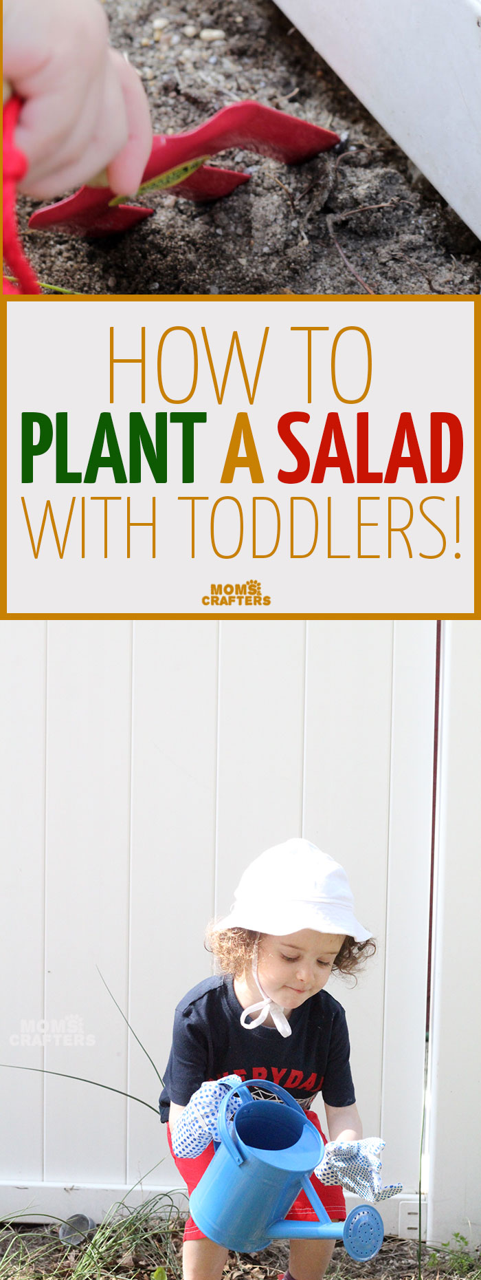 Plant a salad with your toddler - a fun outdoor gardening activity to get those little hands dirty! Plus, it encourages healthy eating, is educational, and is a perfect addition to your repertoire of toddler activities for the Spring or summer!