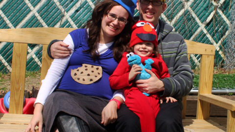 DIY Sesame Street Inspired Family Costume Idea