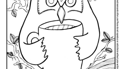 Night Owl’s Secret Download