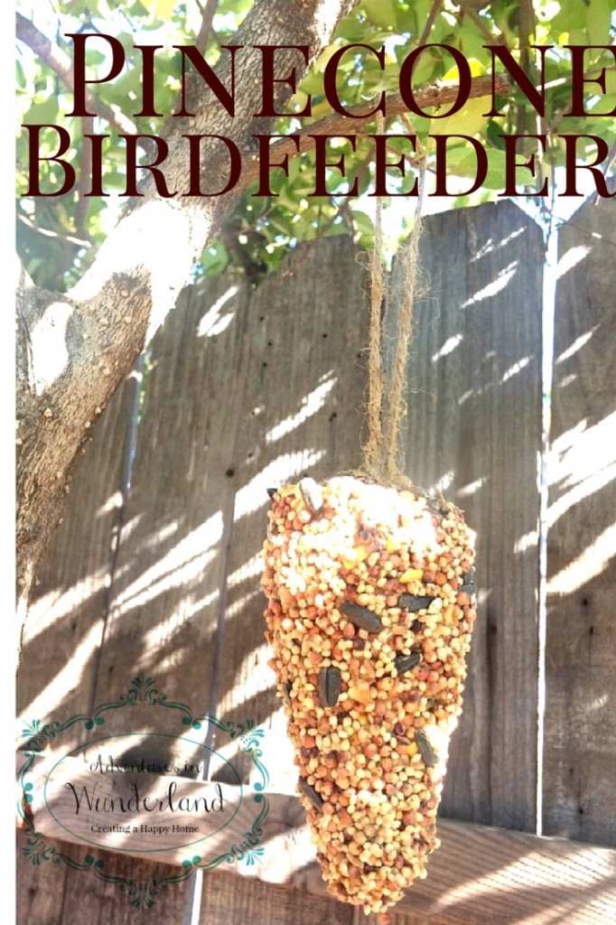 birdfeederfeature-682x1024