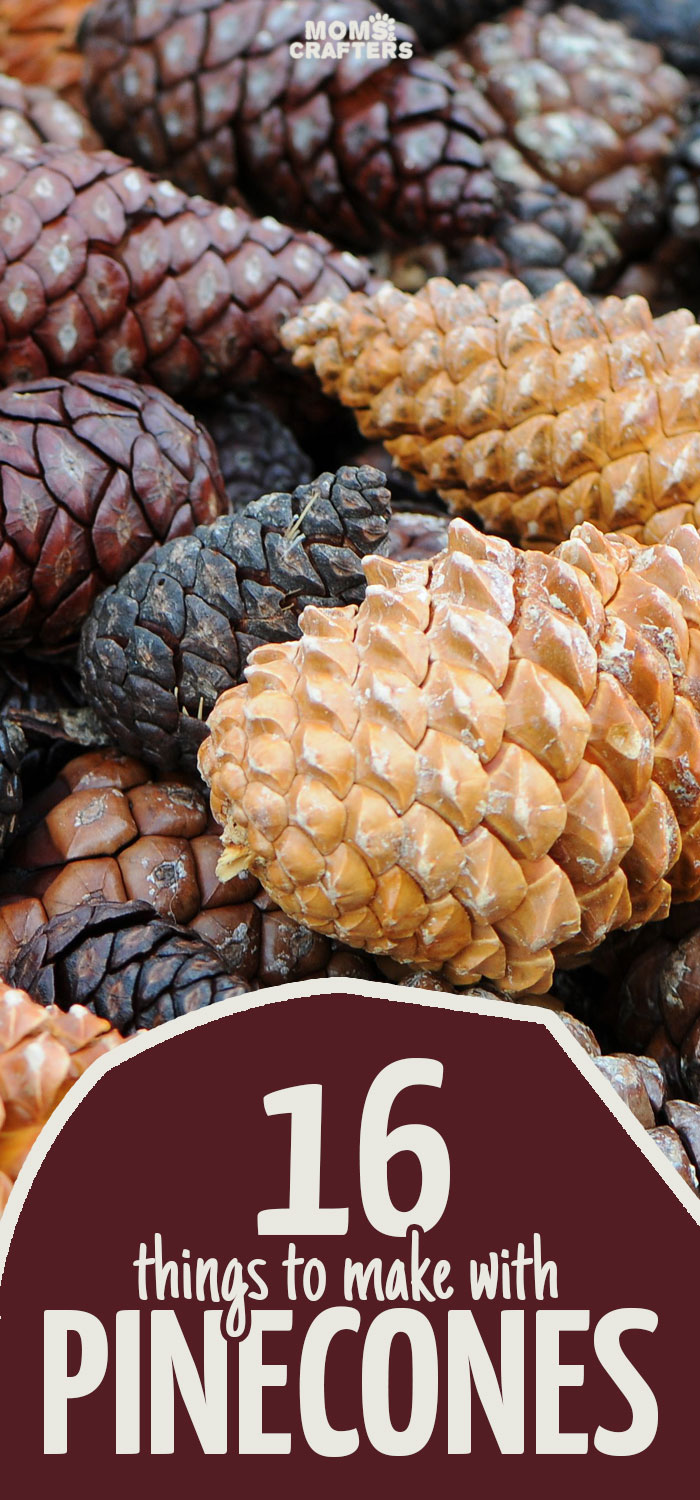 Autumn brings with it my favorite free craft supply: pine cones! Click for 16 perfect pinecone crafts for kids, adults and everyone in between! You'll find some great winter and holiday decor here, ideas for autumn crafting, adn easy DIY tutorials to get you going!