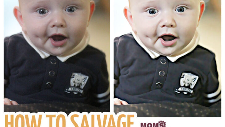 How to Salvage Grainy Photos