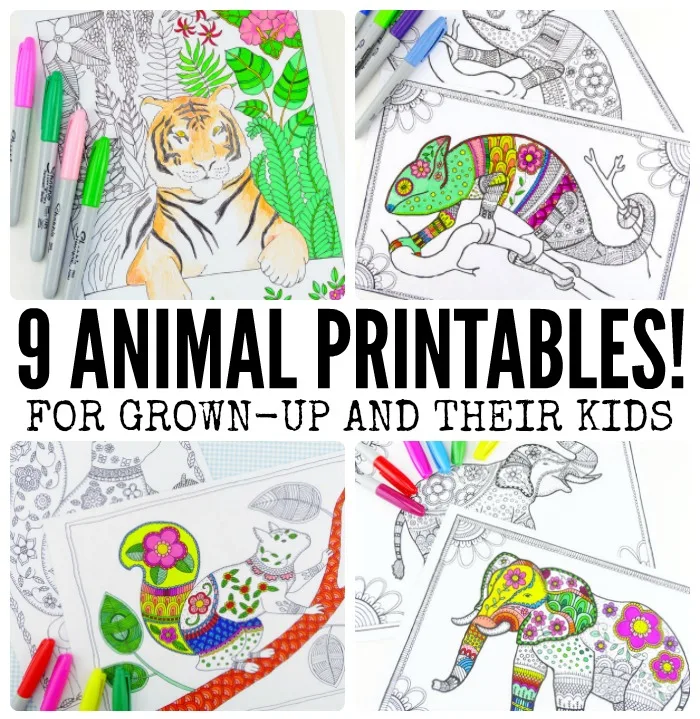 Grab some animal printables and unwind with these free animal coloring pages for adults! You'll love these beautiful graphic and detailed coloring pages for grown-ups and kids.