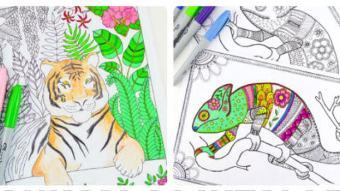 9 Animal Printables – Coloring Pages for Adults