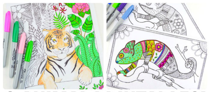 9 Animal Printables – Coloring Pages for Adults