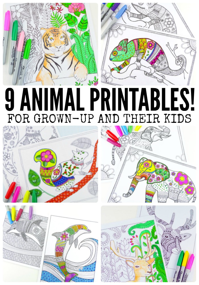 Grab some animal printables and unwind with these free animal coloring pages for adults! You'll love these beautiful graphic and detailed coloring pages for grown-ups and kids.