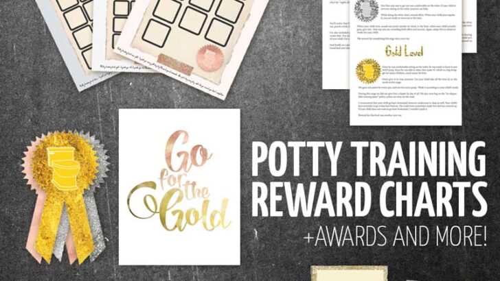 Potty Training Reward Charts and Awards