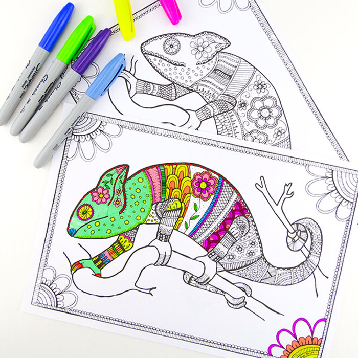 Grab some animal printables and unwind with these free animal coloring pages for adults! You'll love these beautiful graphic and detailed coloring pages for grown-ups and kids.