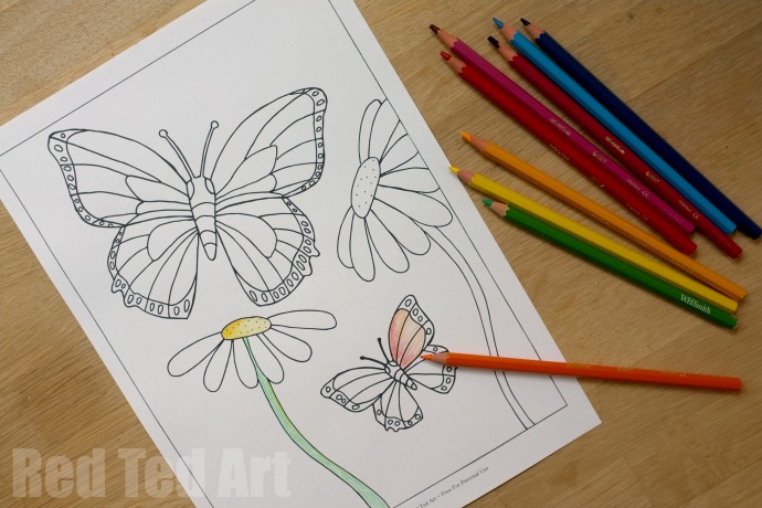 Grab some animal printables and unwind with these free animal coloring pages for adults! You'll love these beautiful graphic and detailed coloring pages for grown-ups and kids.