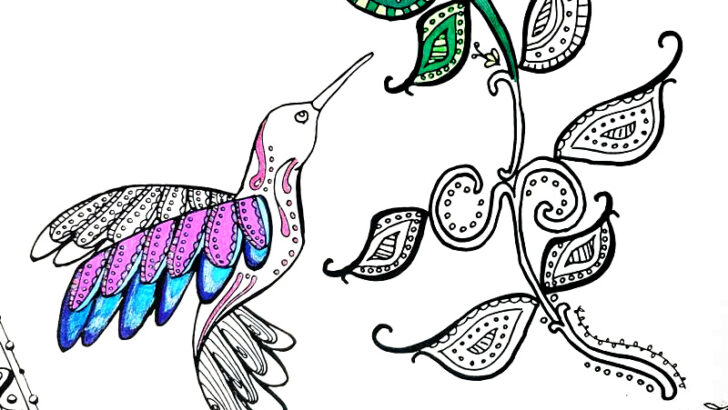 Hummingbird Coloring Page – A Free Printable Coloring Page for Adults