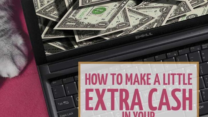 How to earn money online