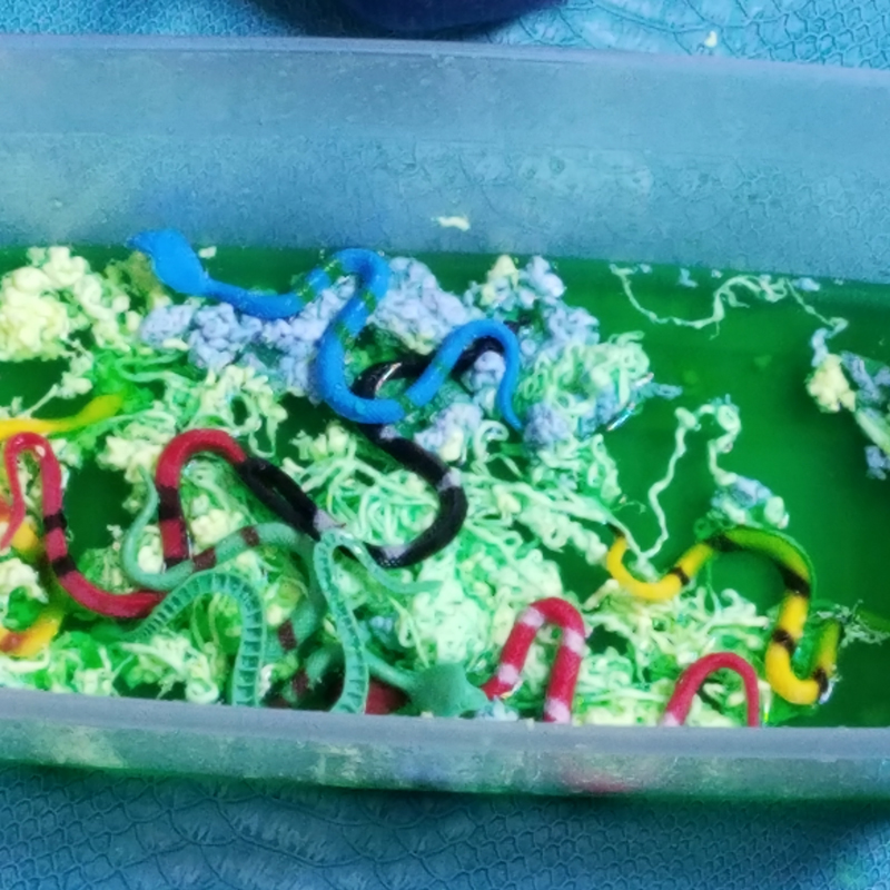 Make a slippery slimy snake sensory bin - the perfect sensory activity for preschoolers! This water play idea is so quick and easy to set up and such a sanity-saver.