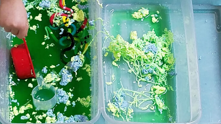 Snake Sensory Bin