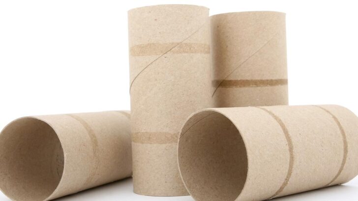 14 Toilet Paper Roll Crafts – Easy + Functional ideas
