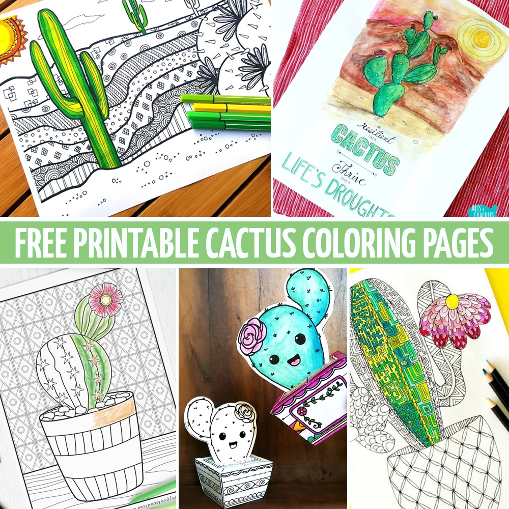 Download these 5 free cactus coloring pages and paper crafts for adults!