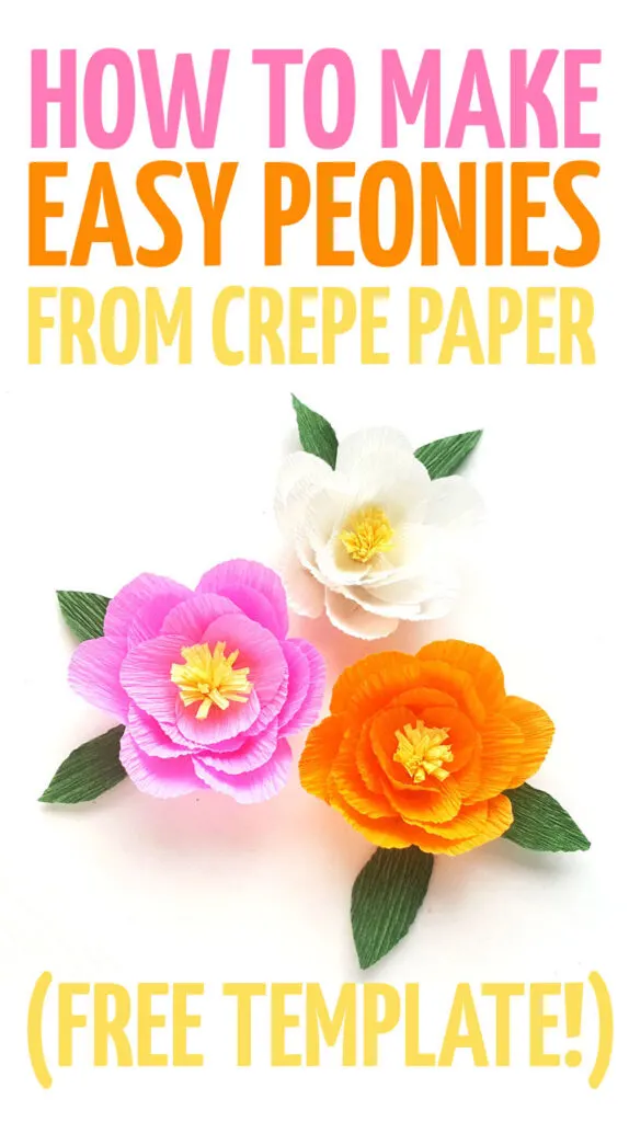 Click to learn how to make crepe paper peonies -great DIY paper flowers for beginners! You'll get a free template and an easy-to-follow tutorial to make this fun Spring craft for teens and grown-ups