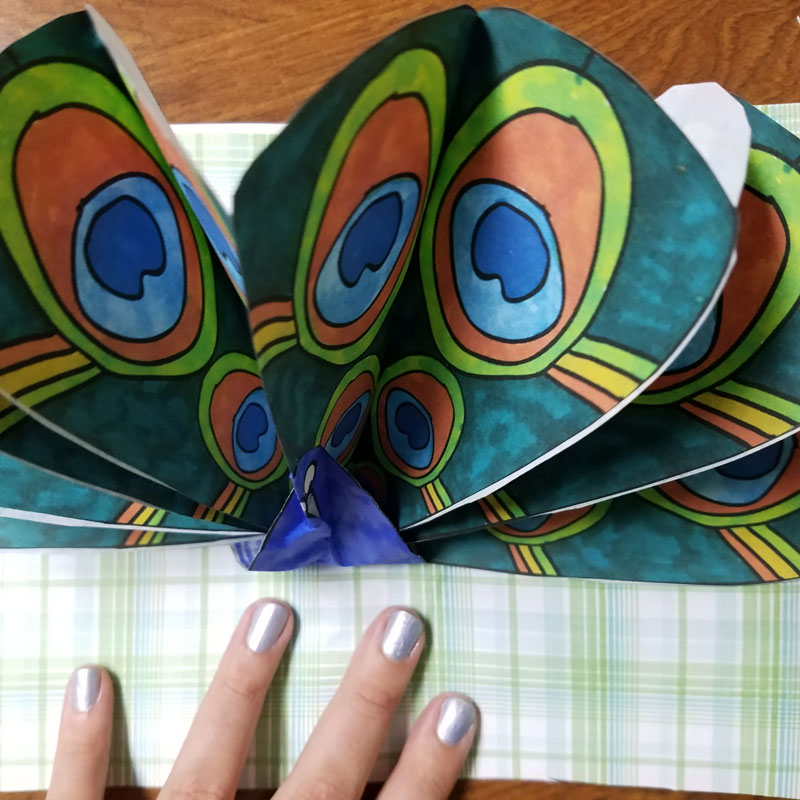 Make a pop up peacock craft! These free printable color-in peacock feathers can be used in any peacock paper craft, but you'll love the pop-up card I made with it. It's a perfect papercraft for kids or adults to create.