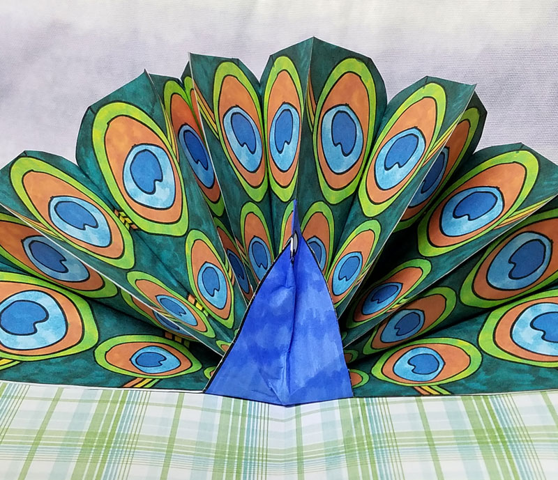 Peacock Craft - Pop Up Paper Peacock with Free Printable Feathers