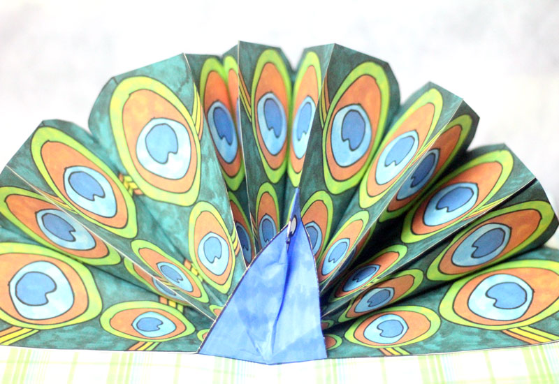 Make a pop up peacock craft! These free printable color-in peacock feathers can be used in any peacock paper craft, but you'll love the pop-up card I made with it. It's a perfect papercraft for kids or adults to create.