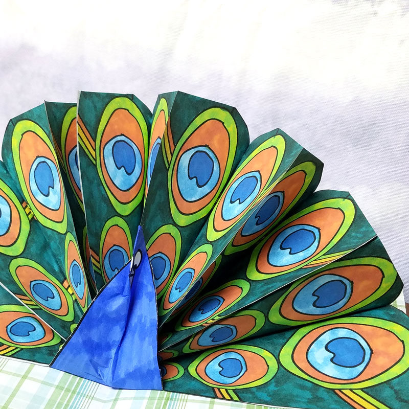 Make a pop up peacock craft! These free printable color-in peacock feathers can be used in any peacock paper craft, but you'll love the pop-up card I made with it. It's a perfect papercraft for kids or adults to create.