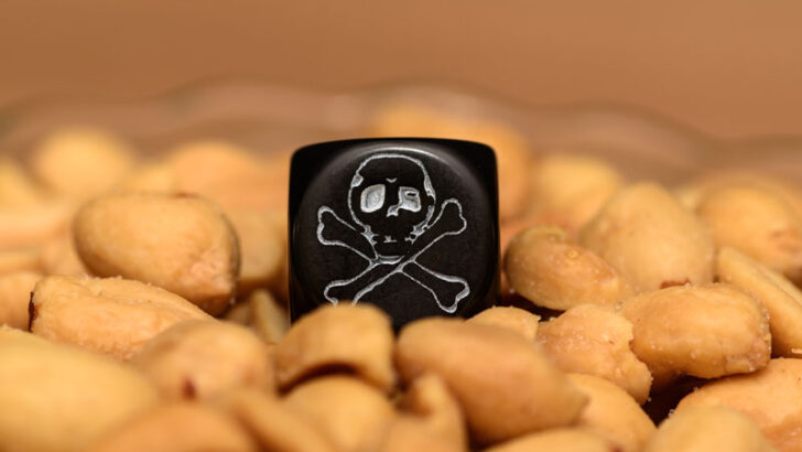 Food Allergies and your School: 7 reasons they’re so strict!