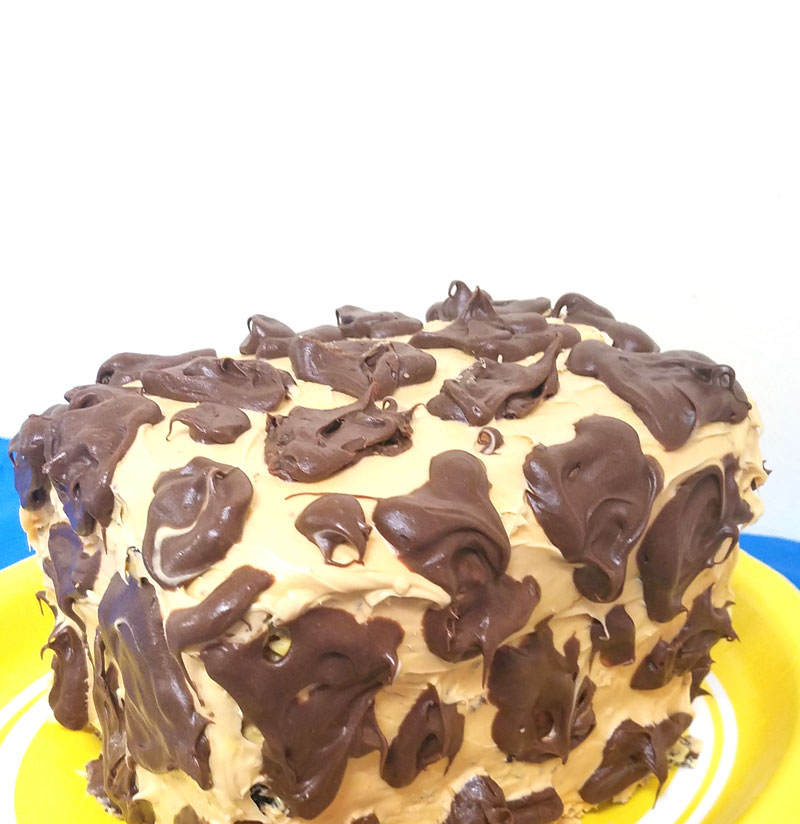 Make this adorable giraffe birthday cake for a birthday party with a giraffe theme or a safari or zoo themed party! This giraffe print cake is super easy for beginners.