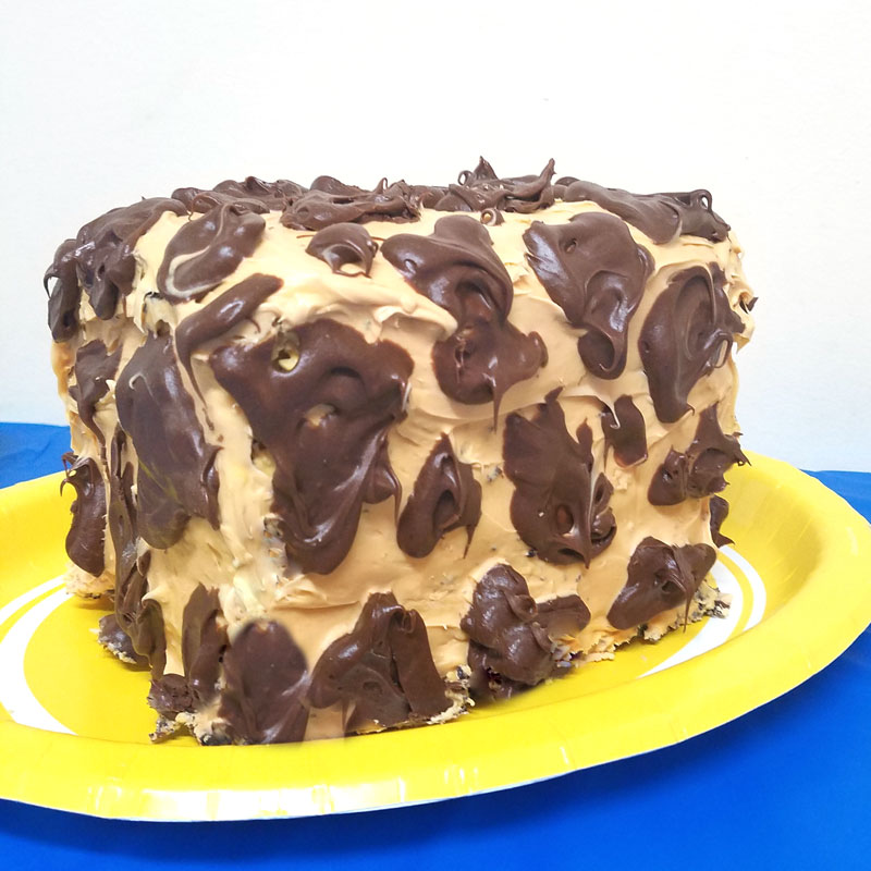 Make this adorable giraffe birthday cake for a birthday party with a giraffe theme or a safari or zoo themed party! This giraffe print cake is super easy for beginners.