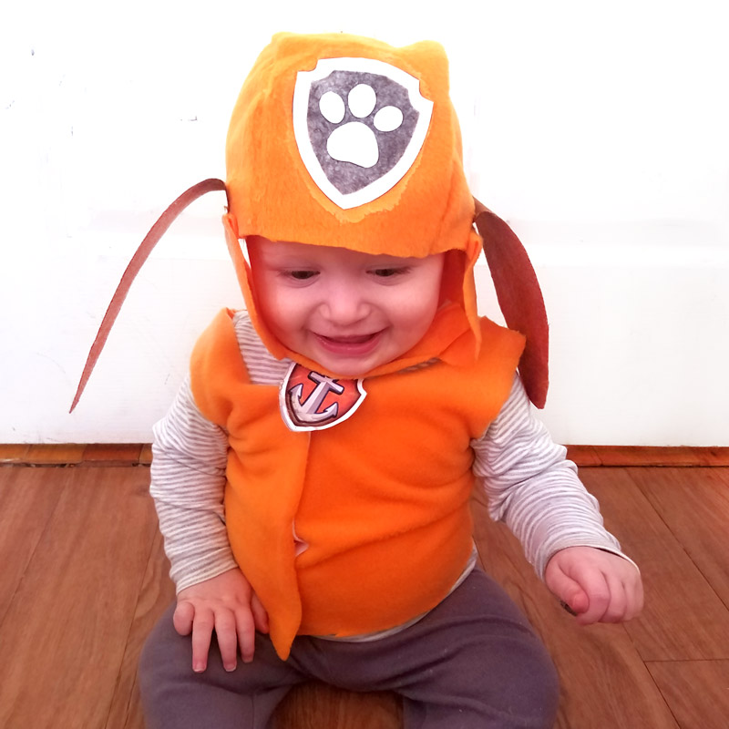 DIY Zuma Paw Patrol Costume - Fun and Easy Halloween Idea