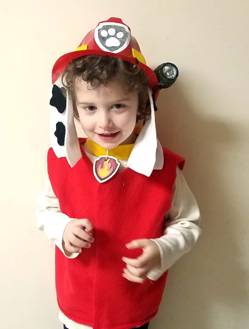 Love this adorable and easy DIY Marshall Paw Patrol costume idea! Such a simple no sew costume for preschoolers and toddlers and great for the kid who loves Paw Patrol costumes!