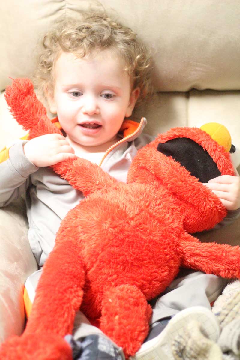 Such cute toys! If you're looking for Elmo toys for toddlers and 2 year olds, these are perfect. They make great gifts for toddlers who love Sesame street. #Elmo #sesamestreet #toddlers