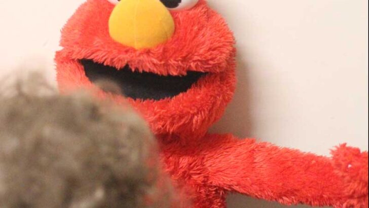 Elmo Toys for Toddlers