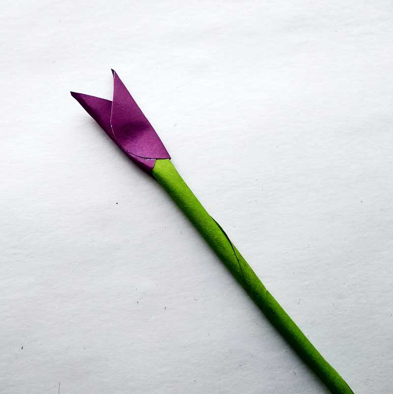 6. Glue another folded petal in the same way, with the opening facing the opposite direction of your first petal beginning to form your paper heliconia.
