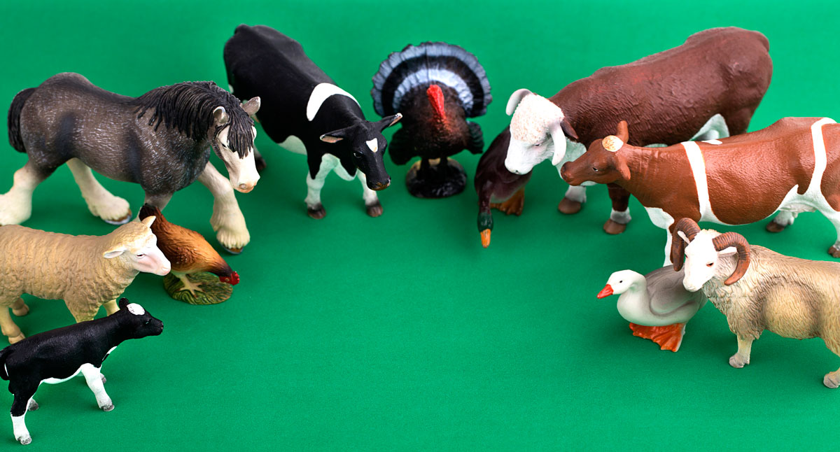 Things to make with Toy Animals that don't look cheap at all!