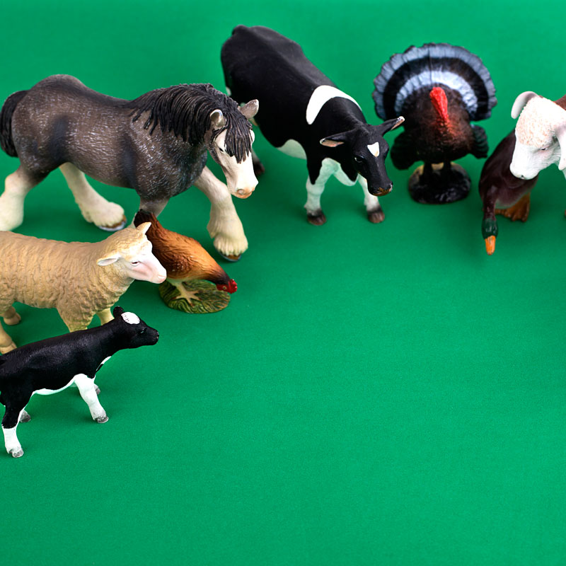 Things to make with Toy Animals that don't look cheap at all! Things to make with Toy Animals that don't look cheap at all!
