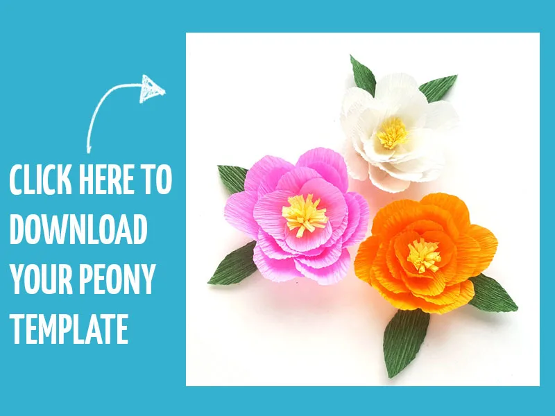 Click here to download our paper peony template!