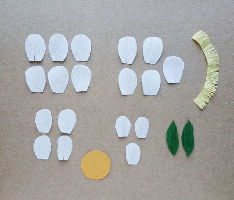 Crepe Paper Peony Template free printable! * Moms and Crafters