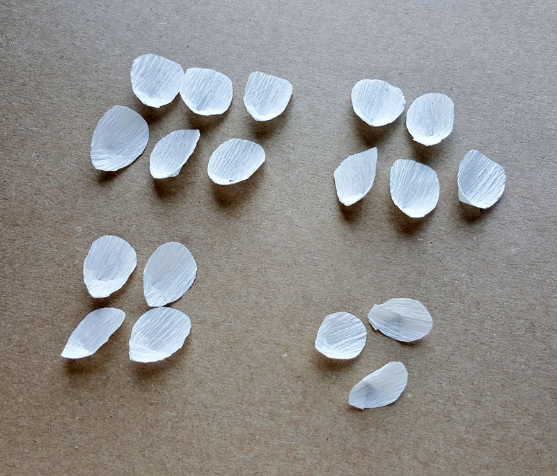 crepe paepr peony template petals prep