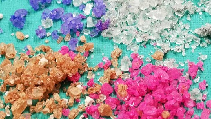 How to Make Biodegradable Glitter