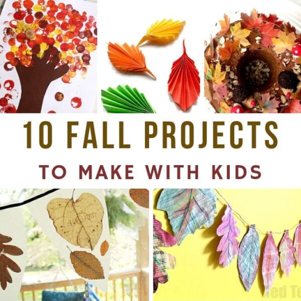 Fun Fall Projects to make with kids
