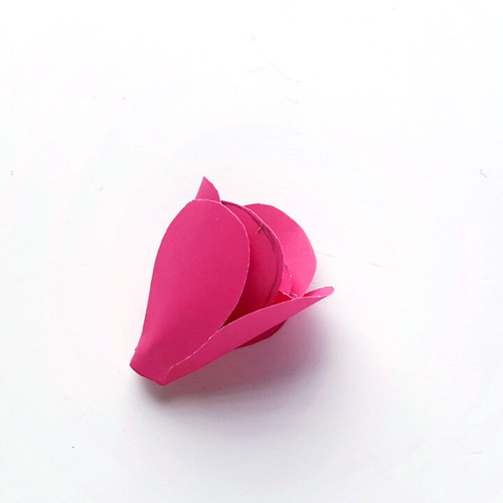 Paper Crocus Flowers with a free printable template, of course!