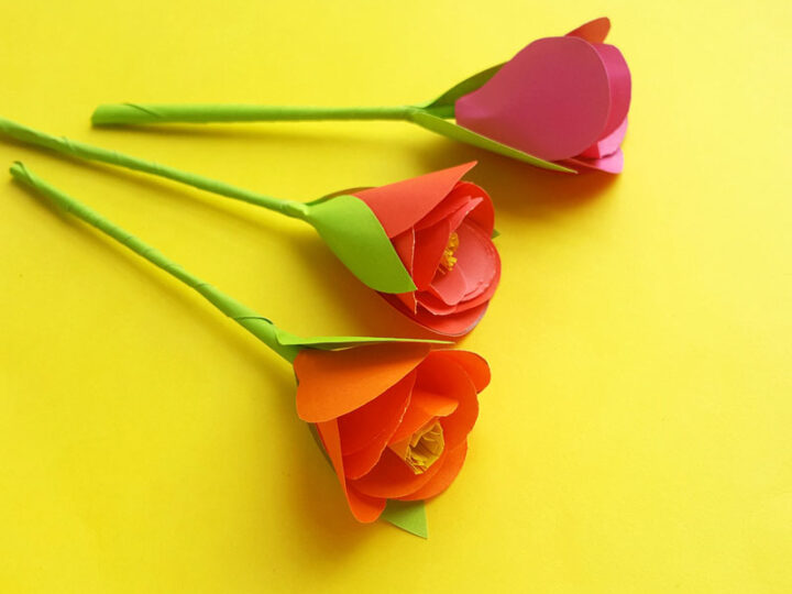 Paper Crocus Flowers