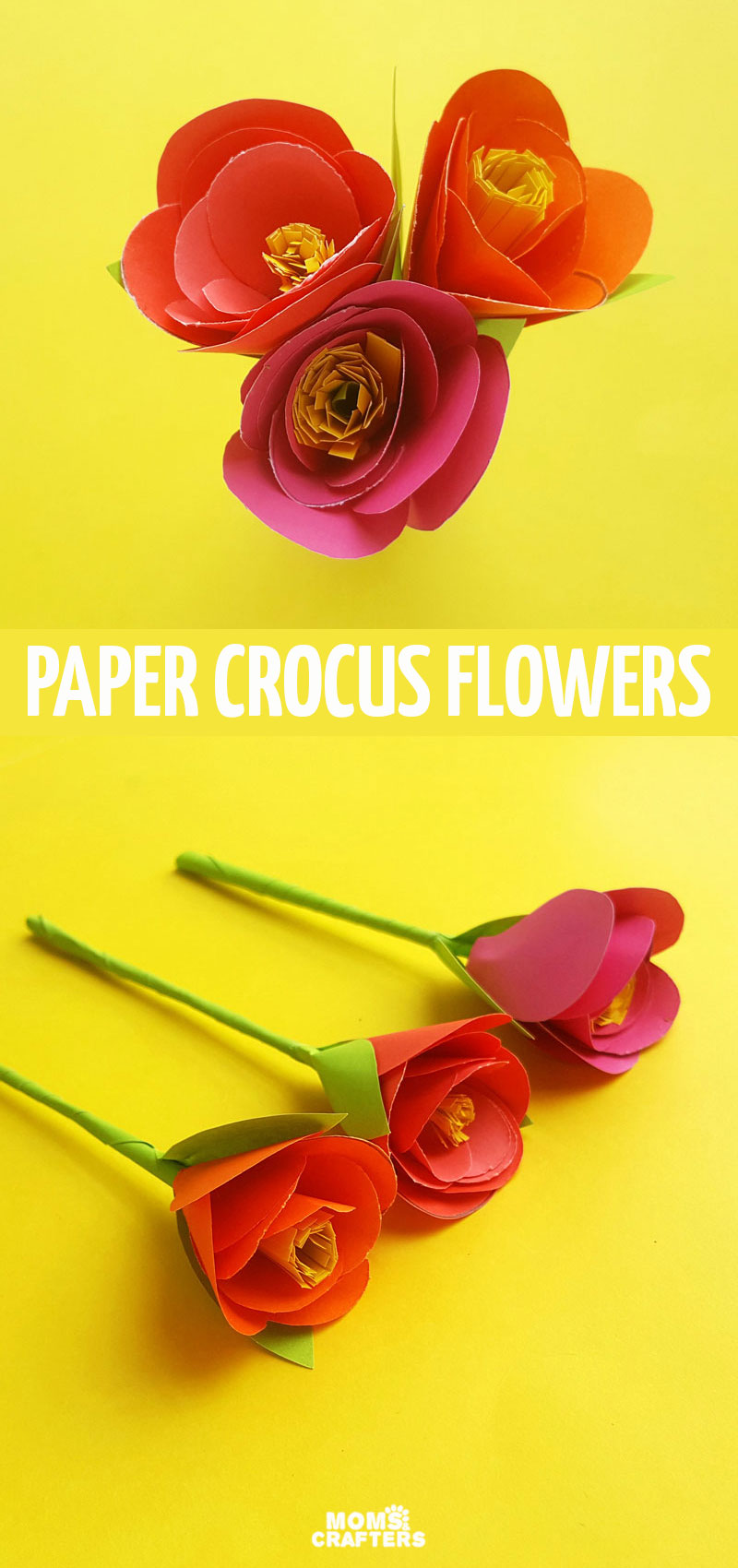 Click for a free template and tutorial for how to make paper crocus flowres! This easy paper flower template for beginners is so pretty and unique. 