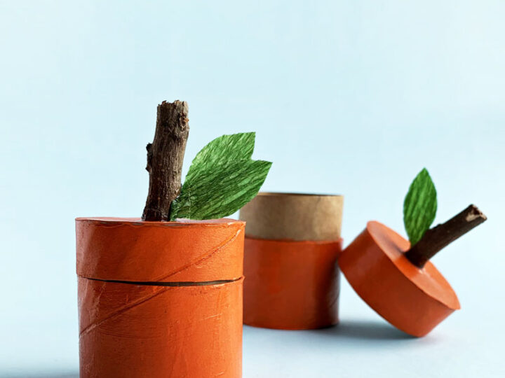 Toilet Paper Roll Pumpkin Box