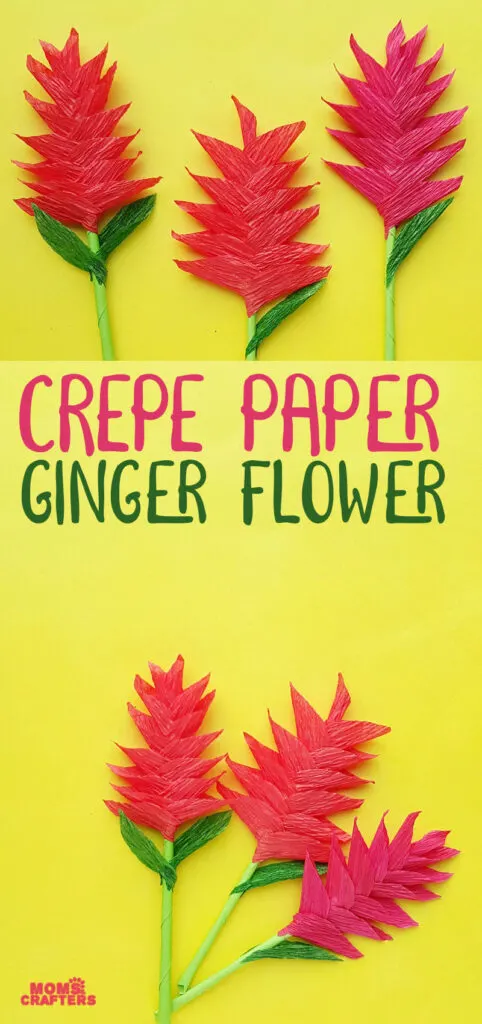 Click to learn how to make a ginger paper flower craft - a fun DIY crepe paper flower that doesn't even need a template.