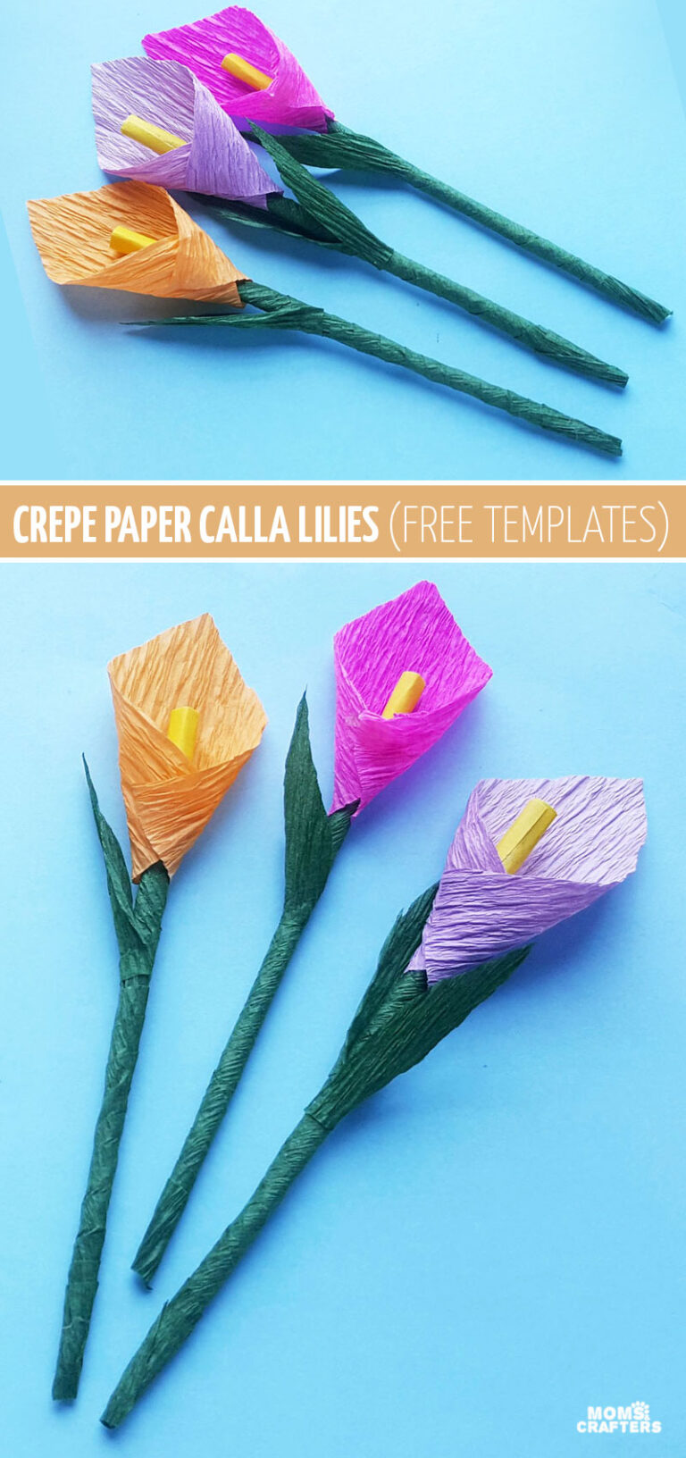 Calla Lily Template - Crepe Paper Flowers * Moms and Crafters