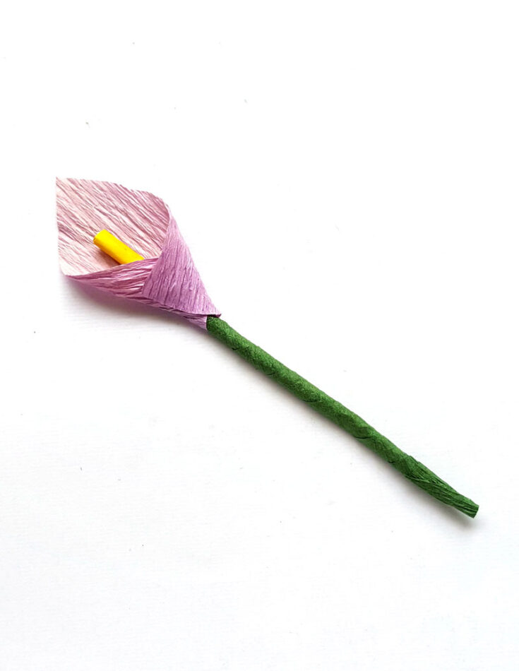 Calla Lily Template - Crepe Paper Flowers * Moms and Crafters