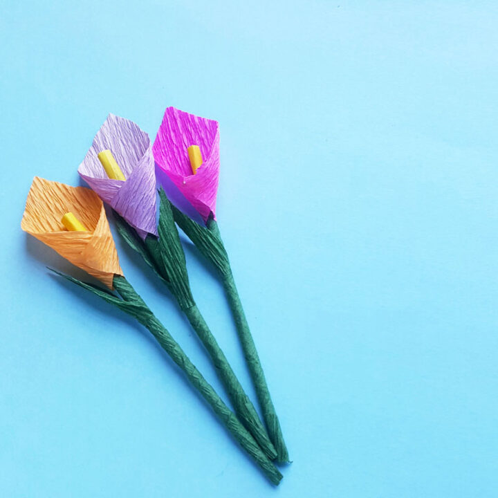 Calla Lily Template Crepe Paper Flowers * Moms and Crafters Calla Lily Template Crepe Paper Flowers * Moms and Crafters