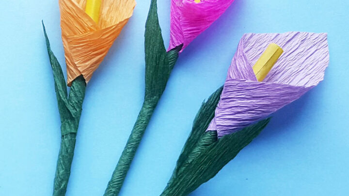 Calla Lily Template – Crepe Paper Flowers
